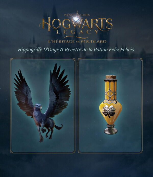 Hogwarts Legacy : L'heritage De Poudlard PS4 – Image 6