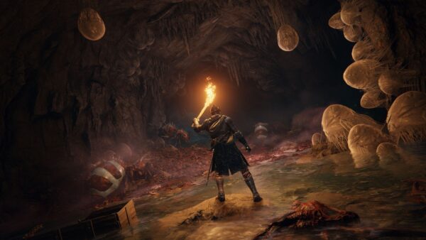 Elden Ring Tarnished Edition (Switch 2) - Europe – Image 2